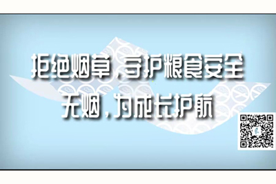 看骚逼骚屌操逼操逼视频拒绝烟草，守护粮食安全